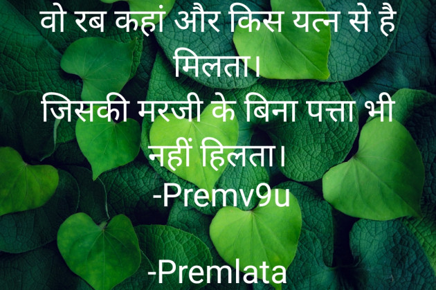 Hindi Good Night by Premlata : 111816644