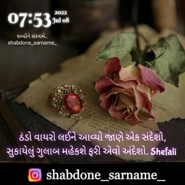 Gujarati Whatsapp-Status by Shefali : 111817415