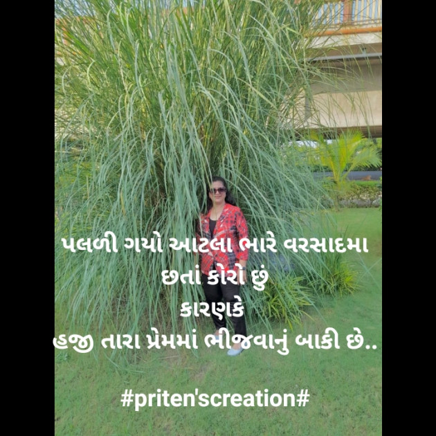 Gujarati Shayri by Priten K Shah : 111818272