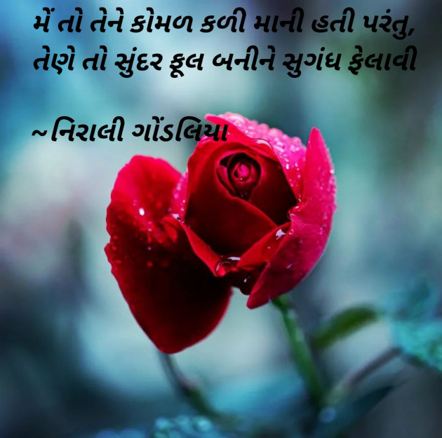 Gujarati Quotes by Gondaliya Nirali : 111818290