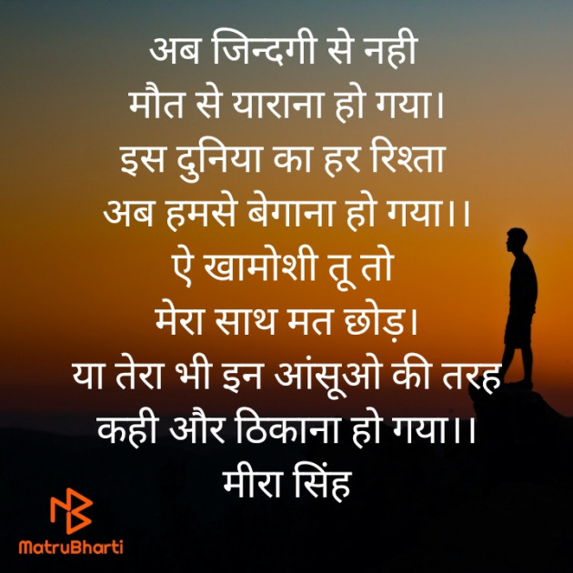 Hindi Poem by Meera Singh : 111818501