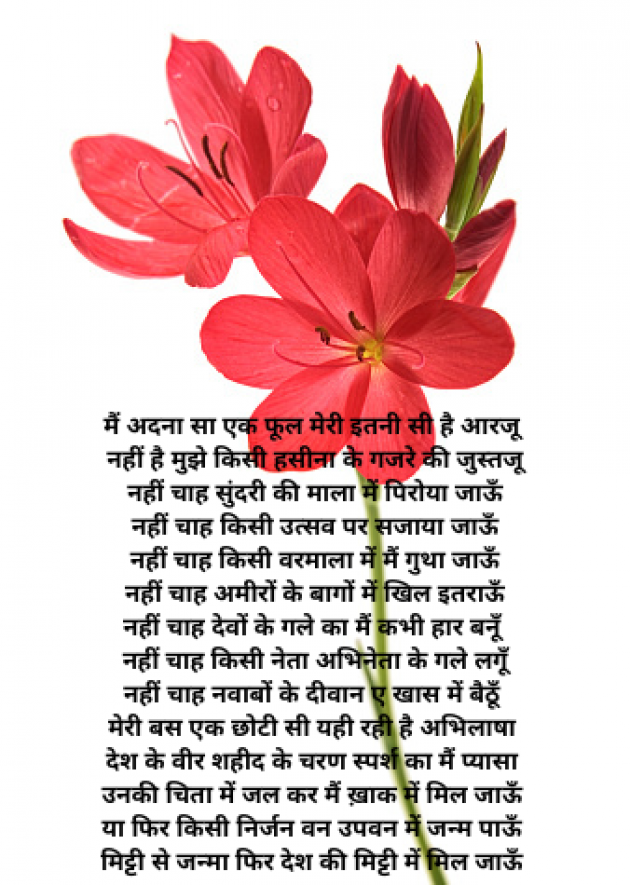 Hindi Poem by S Sinha : 111818762