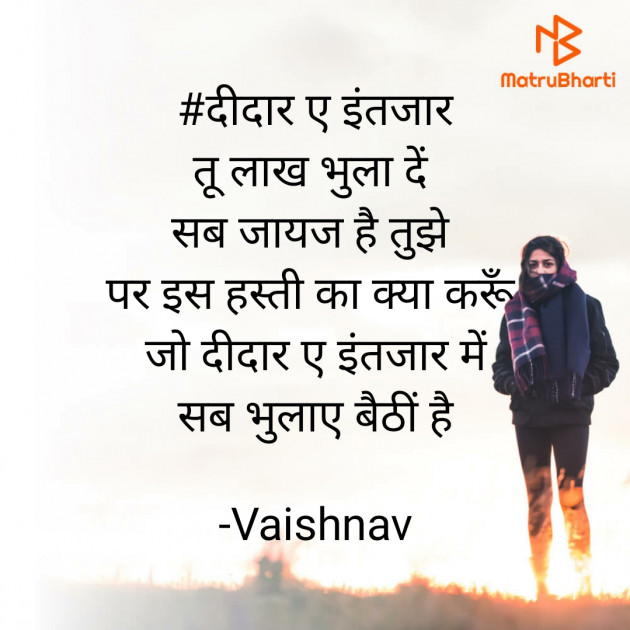 Hindi Blog by Vaishnav : 111818965