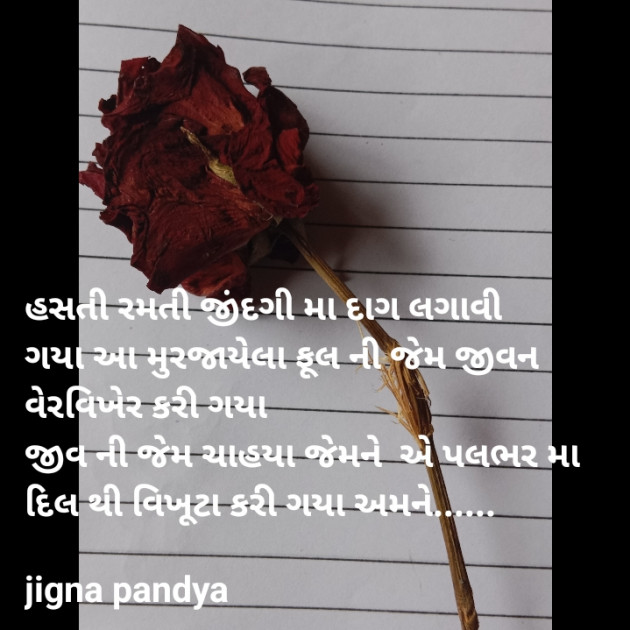 Gujarati Blog by Jigna Pandya : 111819260