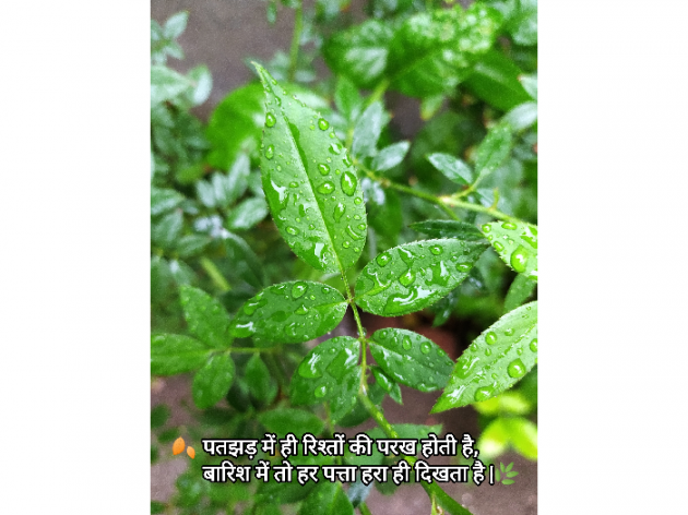 Gujarati Microfiction by JMC : 111819275