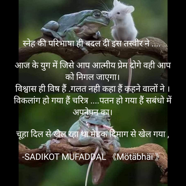 Hindi Good Morning by SADIKOT MUFADDAL 《Mötäbhäï 》 : 111819685