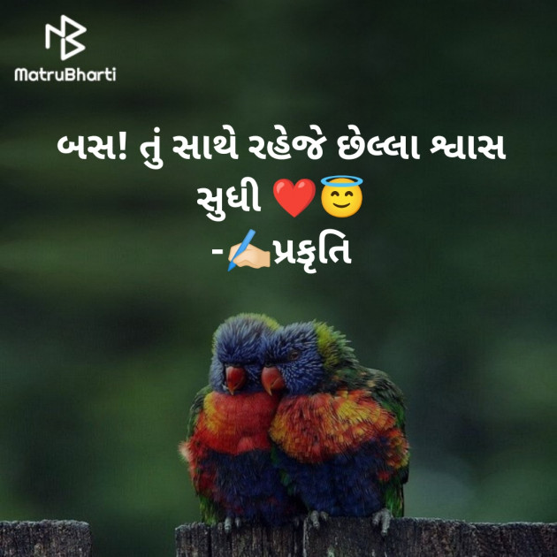 Gujarati Whatsapp-Status by પ્રકૃતિ : 111819766