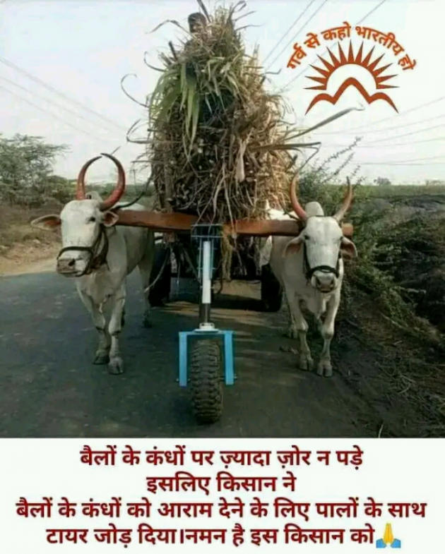 Hindi Motivational by ar jain : 111819802