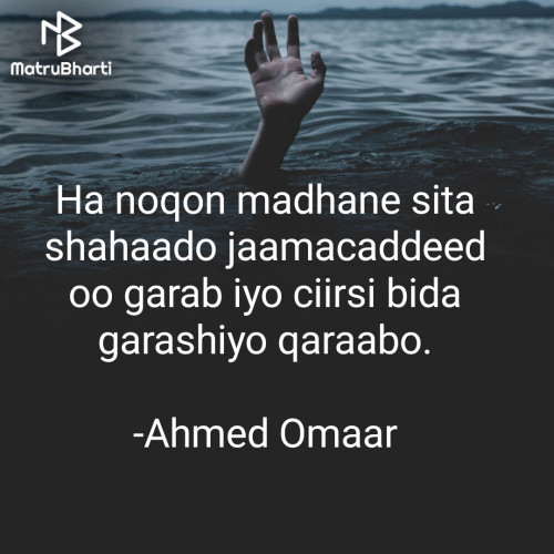 Post by Ahmed Omaar on 18-Jul-2022 11:09pm