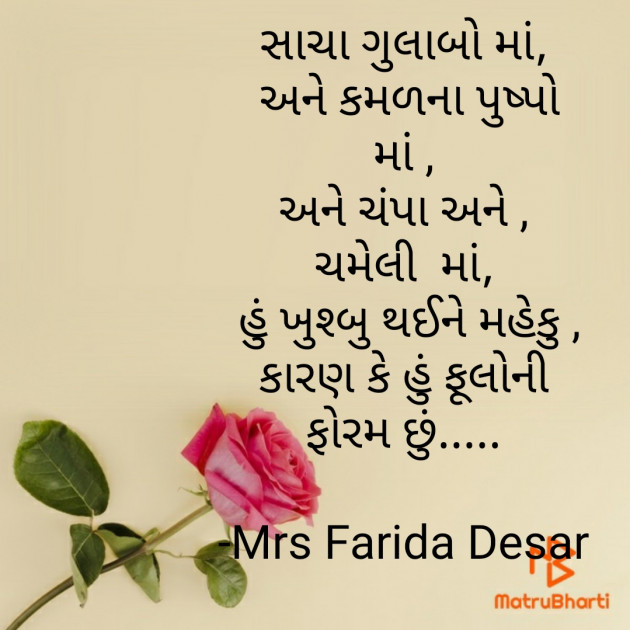 Gujarati Shayri by Mrs Farida Desar : 111820709