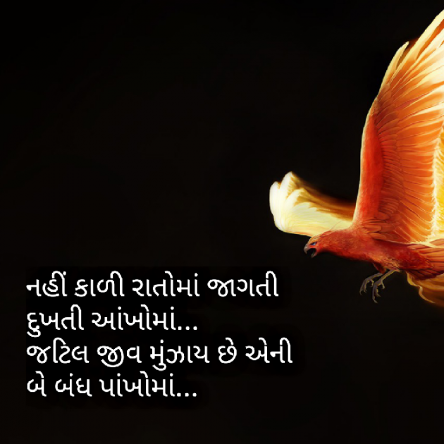 Gujarati Shayri by Yuvrajsinh jadeja : 111820878