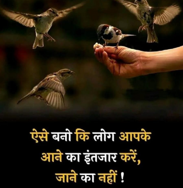 Hindi Thought by Jas lodariya : 111821125