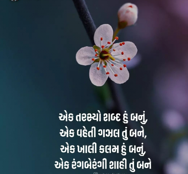 Gujarati Shayri by Karnika : 111821511