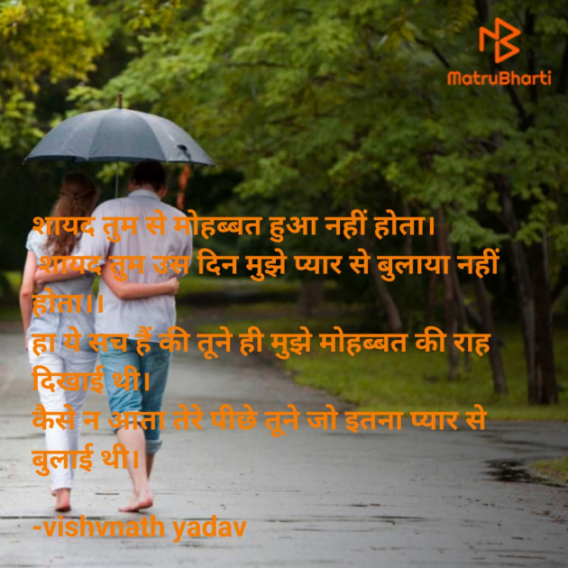 Hindi Shayri by vishvnath yadav : 111822336