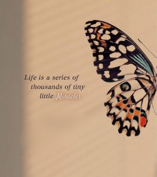 Hindi Thought by Piya : 111822360