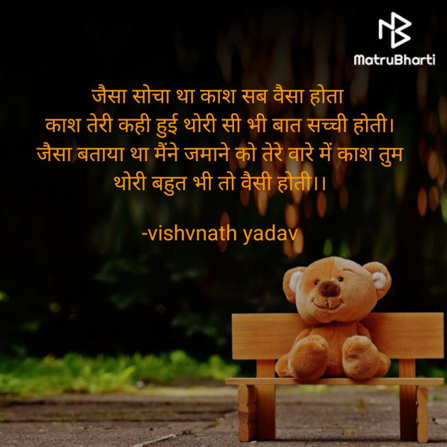 Hindi Shayri by vishvnath yadav : 111822583