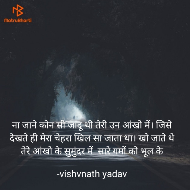 Hindi Shayri by vishvnath yadav : 111822632