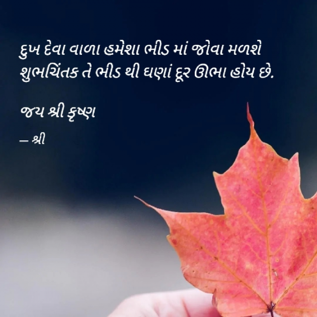 Gujarati Good Morning by Gor Dimpal Manish : 111822665