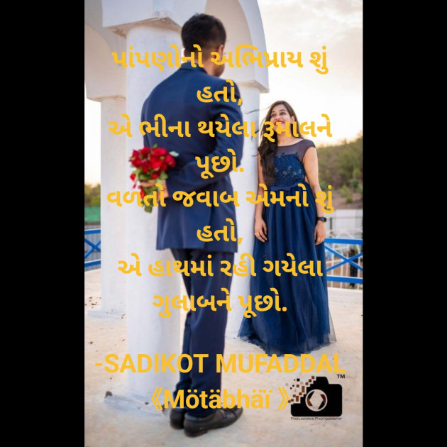 Gujarati Good Morning by SADIKOT MUFADDAL 《Mötäbhäï 》 : 111823234