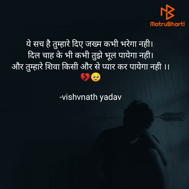 Hindi Shayri by vishvnath yadav : 111823343