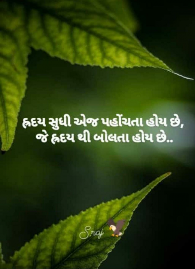 English Whatsapp-Status by કૃષ્ણમ્ : 111823471