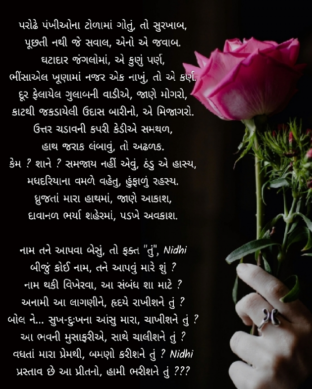 Gujarati Blog by Nidhi_Nanhi_Kalam_ : 111823655