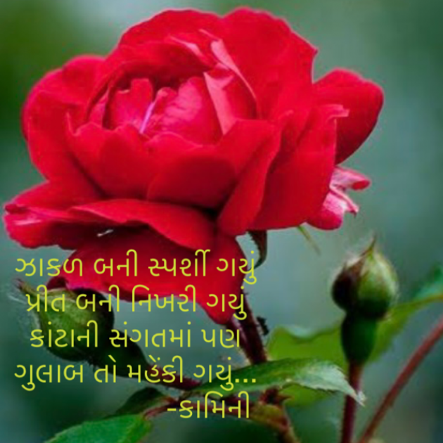 Gujarati Poem by Kamini Shah : 111823853