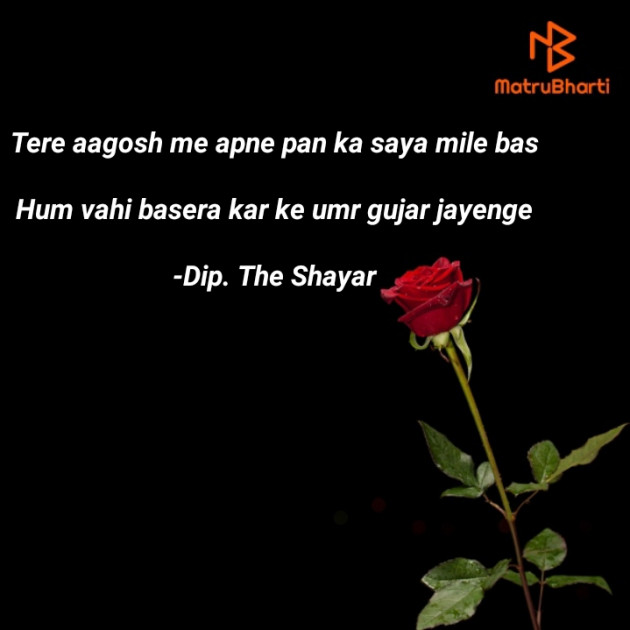 Hindi Shayri by Dip. The Shayar : 111824410