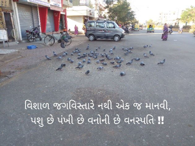 Gujarati Good Morning by Chirag Harsoda : 111824482