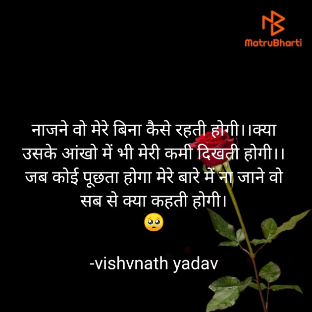 Hindi Shayri by vishvnath yadav : 111824610