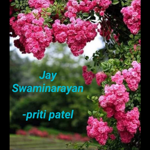 Gujarati Good Morning by priti patel : 111826443