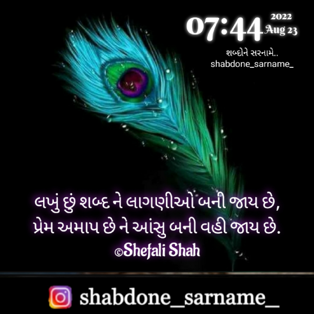 Gujarati Whatsapp-Status by Shefali : 111827327