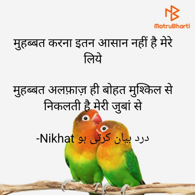 Urdu Quotes by Nikhat درد بیان کرتی ہو : 111827918