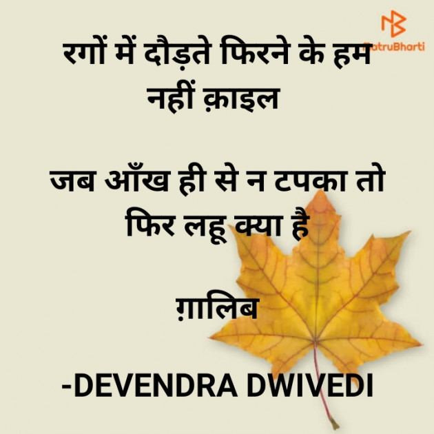 Hindi Tribute by DEVENDRA DWIVEDI : 111828006