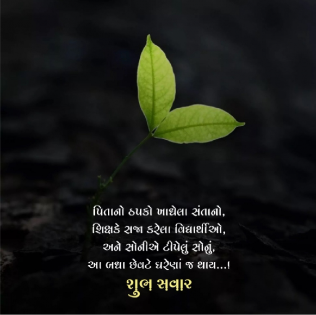 Gujarati Thought by Jas lodariya : 111828484