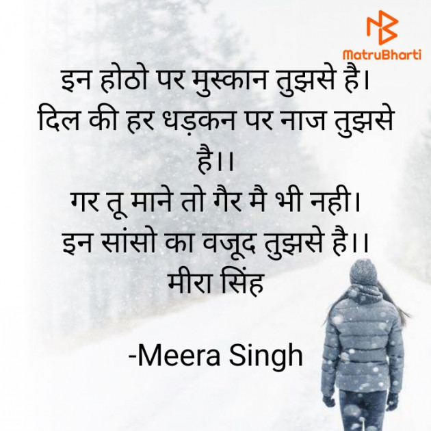 Hindi Blog by Meera Singh : 111828840