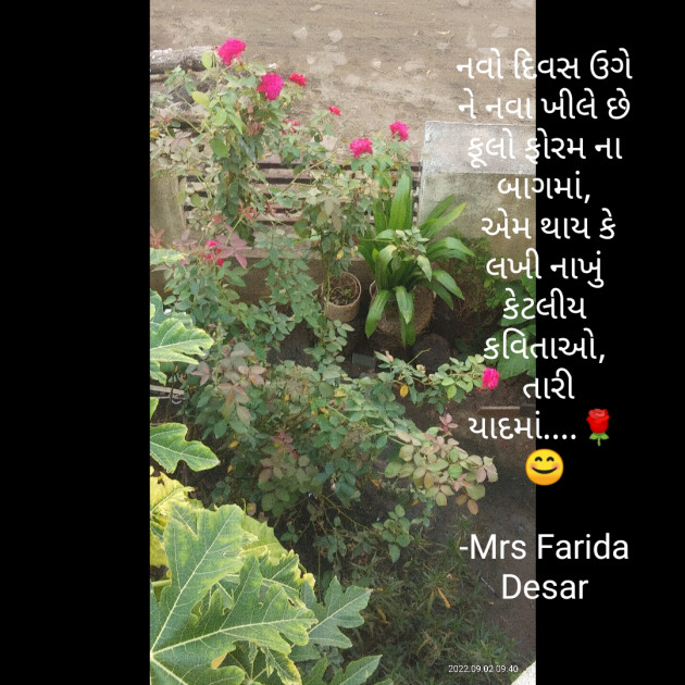 Gujarati Shayri by Mrs Farida Desar : 111829501