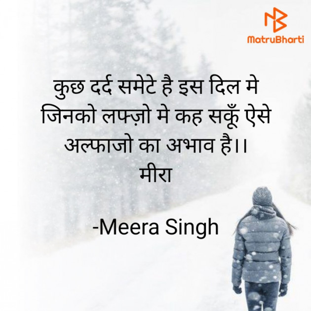 Hindi Blog by Meera Singh : 111830495