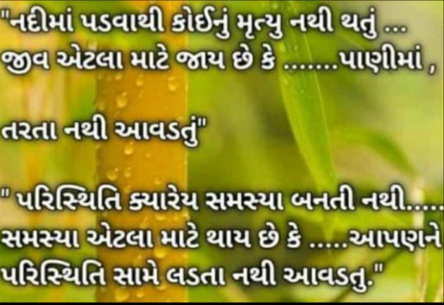 Gujarati Thought by Het Bhatt Mahek : 111830585