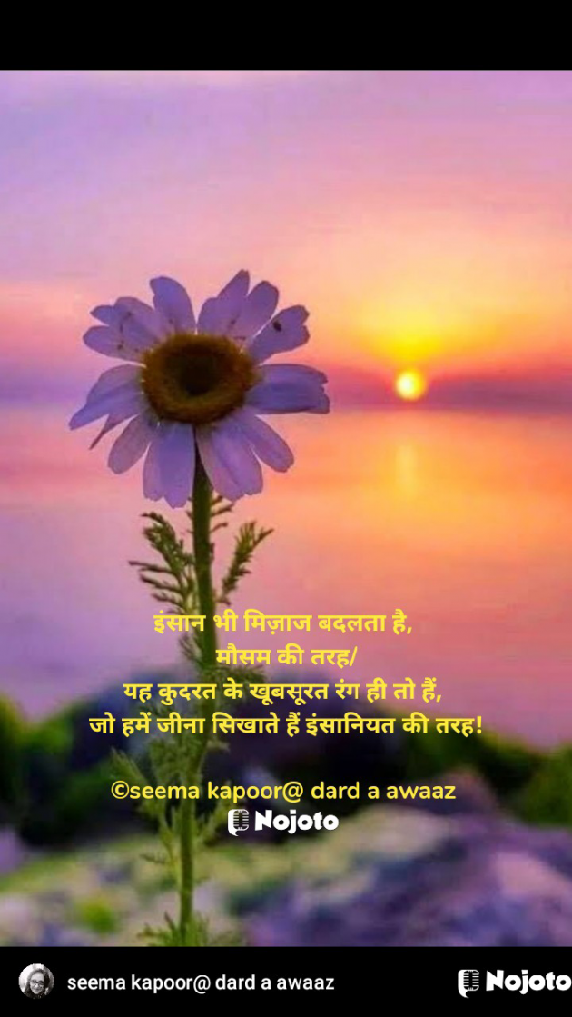 Hindi Quotes by सीमा कपूर : 111830589