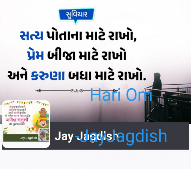 Gujarati Whatsapp-Status by ખીમા ભગત : 111831241