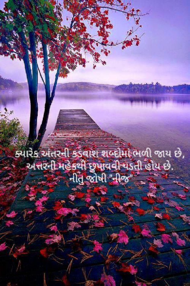 Gujarati Shayri by Nij Joshi : 111831385