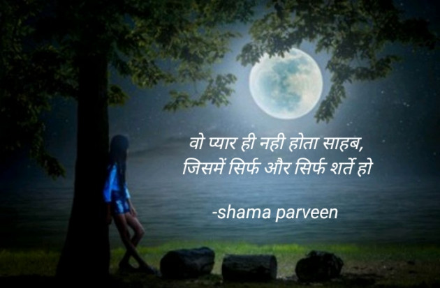 Hindi Blog by shama parveen : 111832237