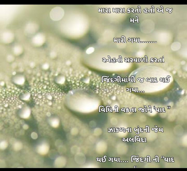 Gujarati Whatsapp-Status by Tr Ajit : 111832850