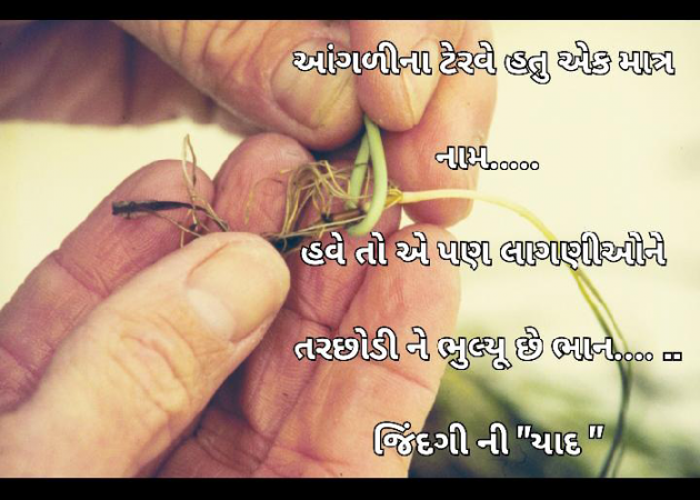 Gujarati Whatsapp-Status by Tr Ajit : 111832852