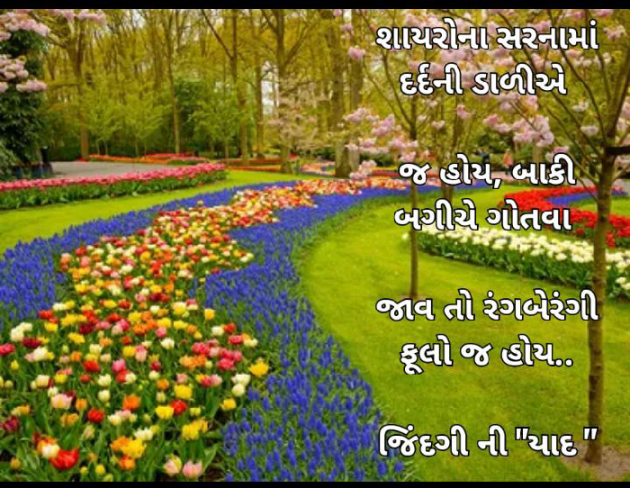 Gujarati Whatsapp-Status by Tr Ajit : 111832854