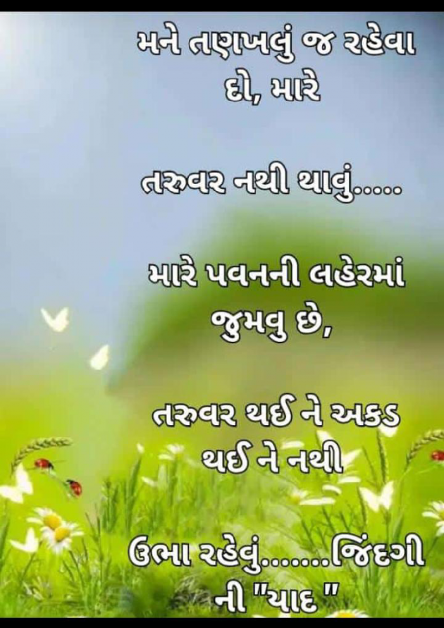 Gujarati Whatsapp-Status by Tr Ajit : 111832855