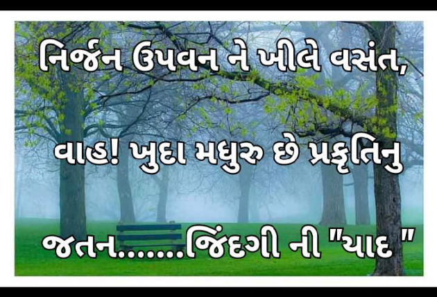 Gujarati Whatsapp-Status by Tr Ajit : 111833079