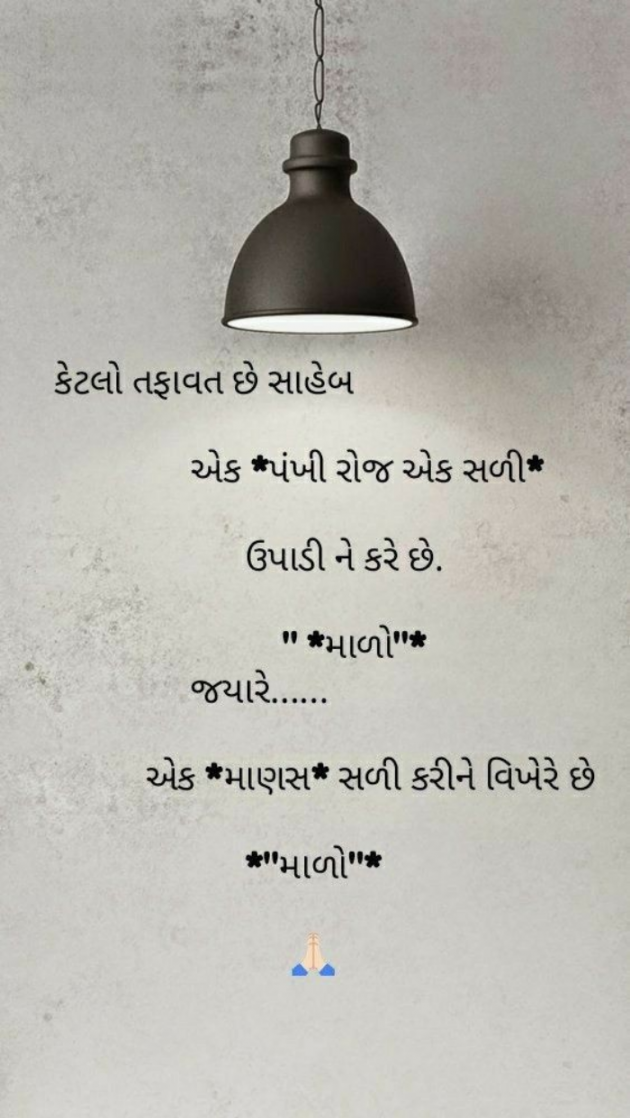 Gujarati Whatsapp-Status by Balkrishna patel : 111833081