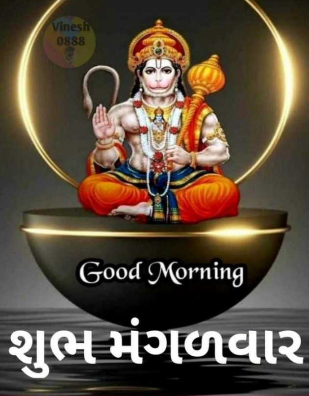 Gujarati Whatsapp-Status by Zala Jayvirsinh : 111833222